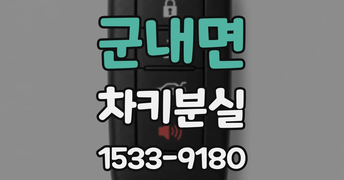 군내면 차키분실