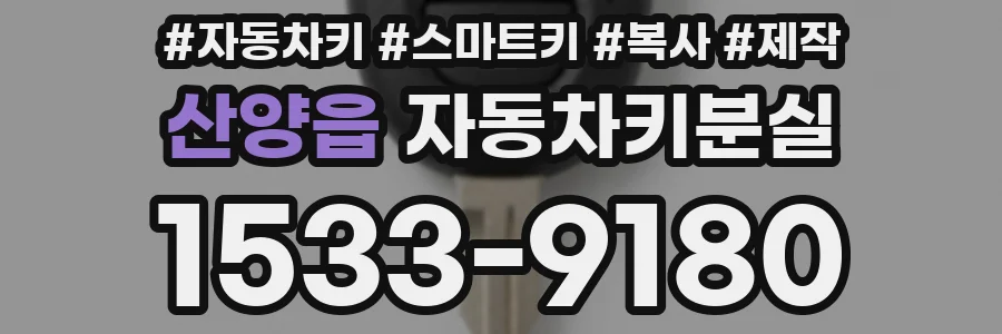 산양읍 자동차키분실
