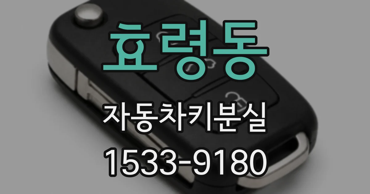 효령동 자동차키분실