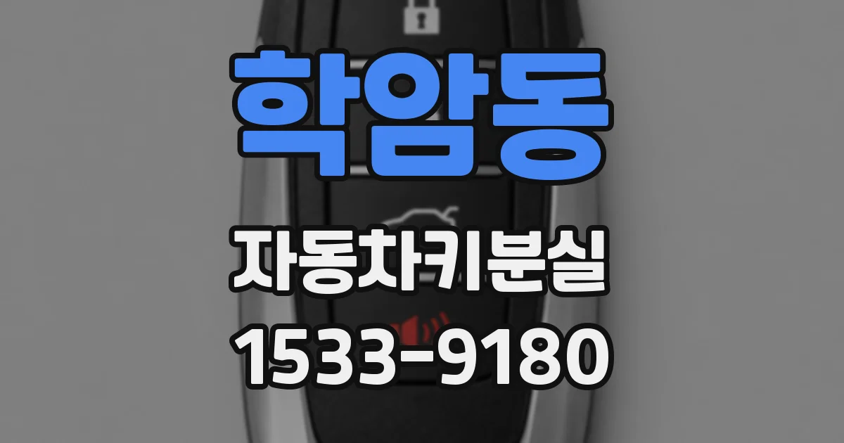 학암동 자동차키분실