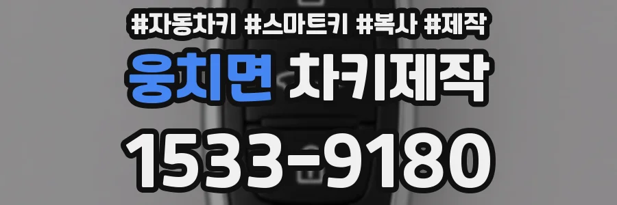 웅치면 차키제작