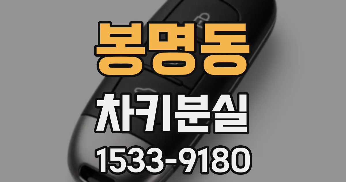 봉명동 차키분실