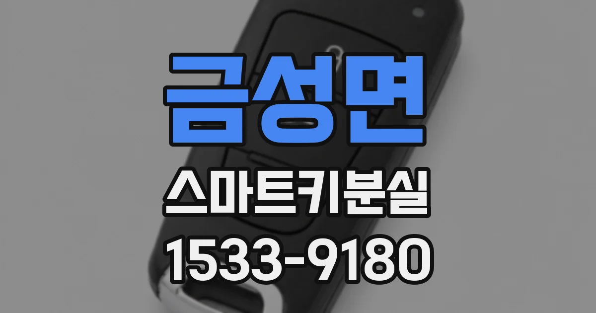 금성면 스마트키분실