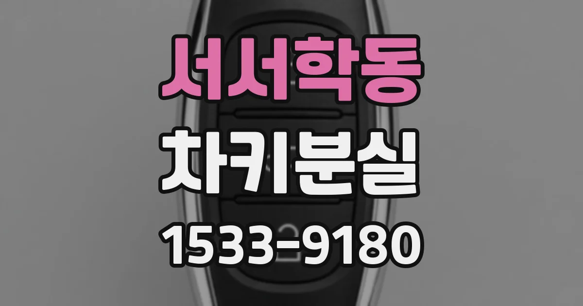 서서학동 차키분실