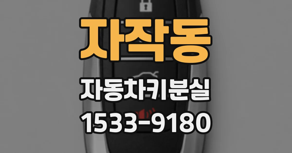 자작동 자동차키분실