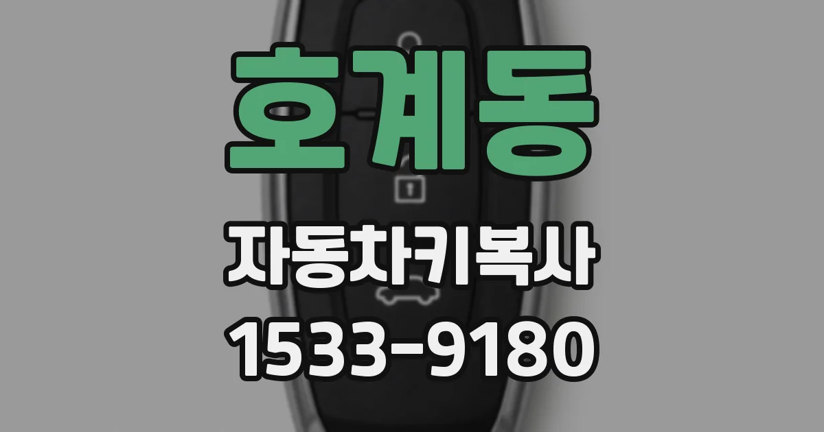호계동 자동차키복사
