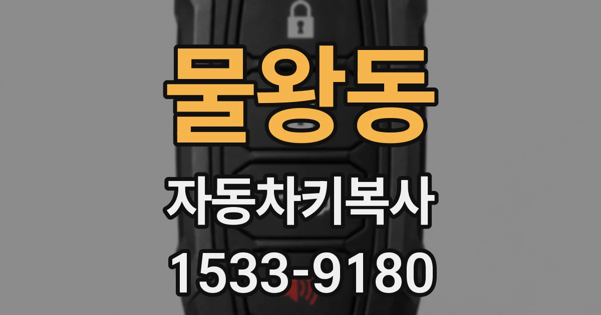 물왕동 자동차키복사