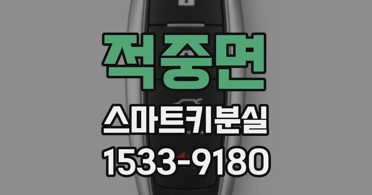 적중면 스마트키분실