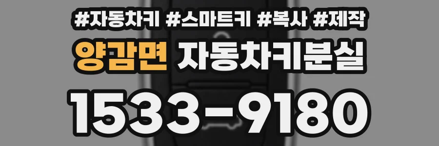 양감면 자동차키분실
