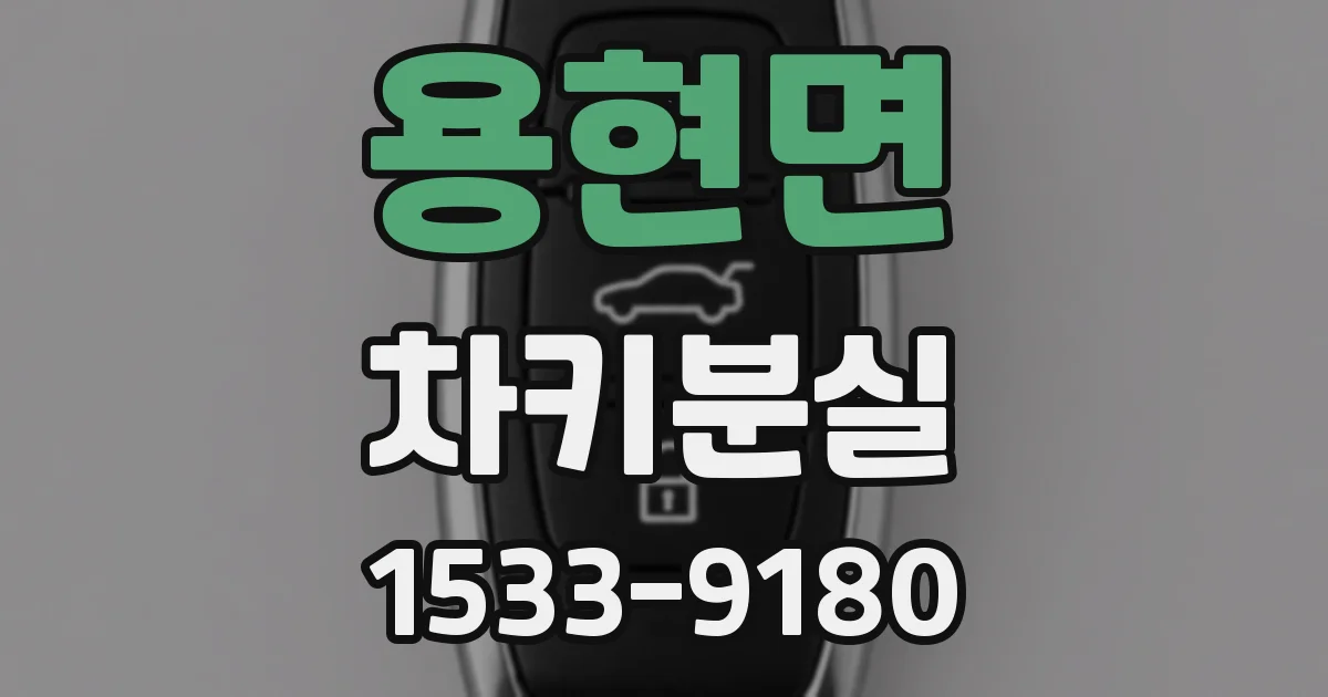 용현면 차키분실