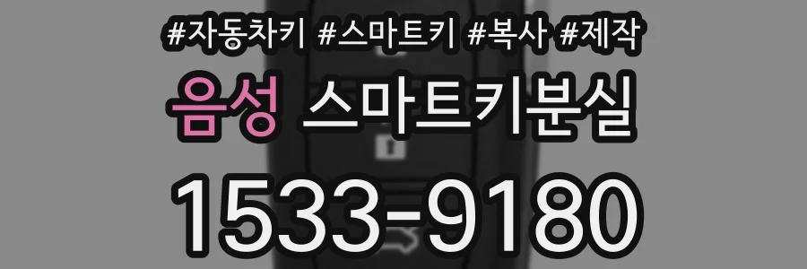 음성 스마트키분실