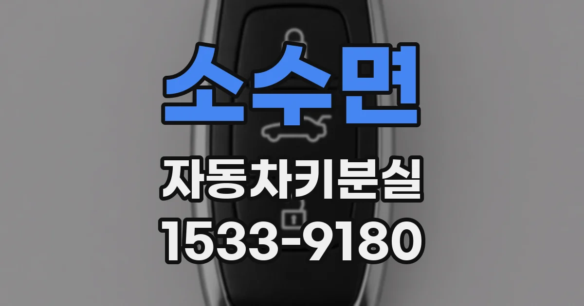 소수면 자동차키분실