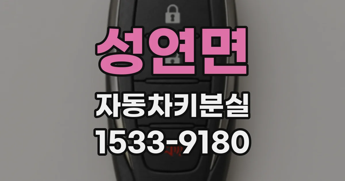 성연면 자동차키분실