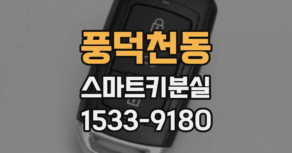풍덕천동 스마트키분실