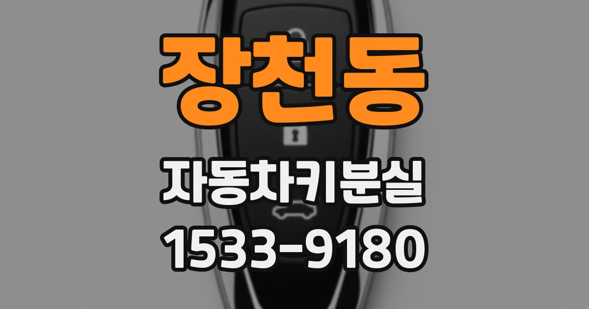 장천동 자동차키분실