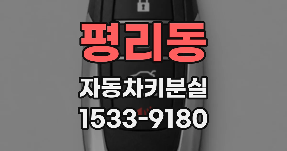 평리동 자동차키분실
