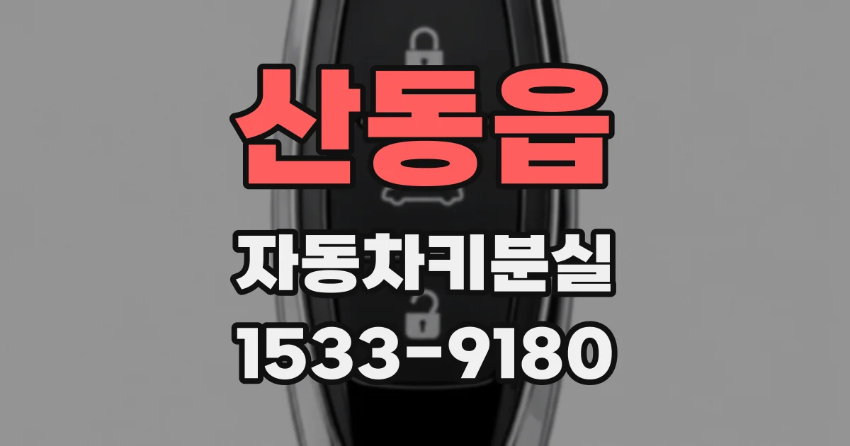 산동읍 자동차키분실
