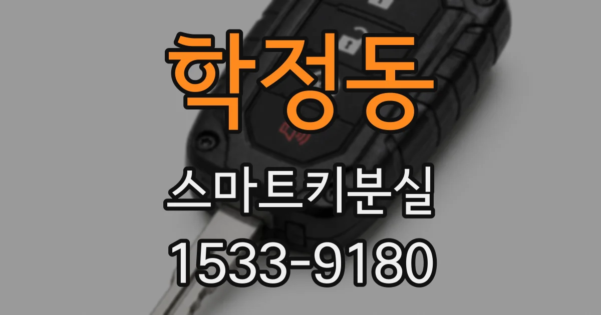 학정동 스마트키분실