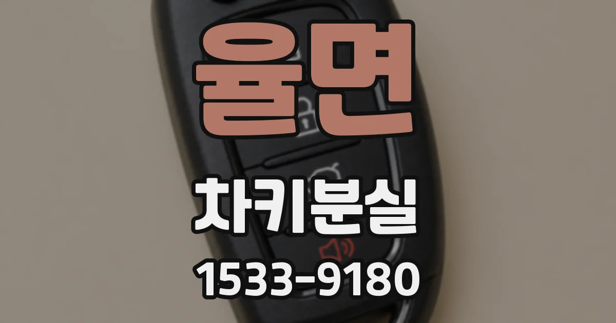 율면 차키분실