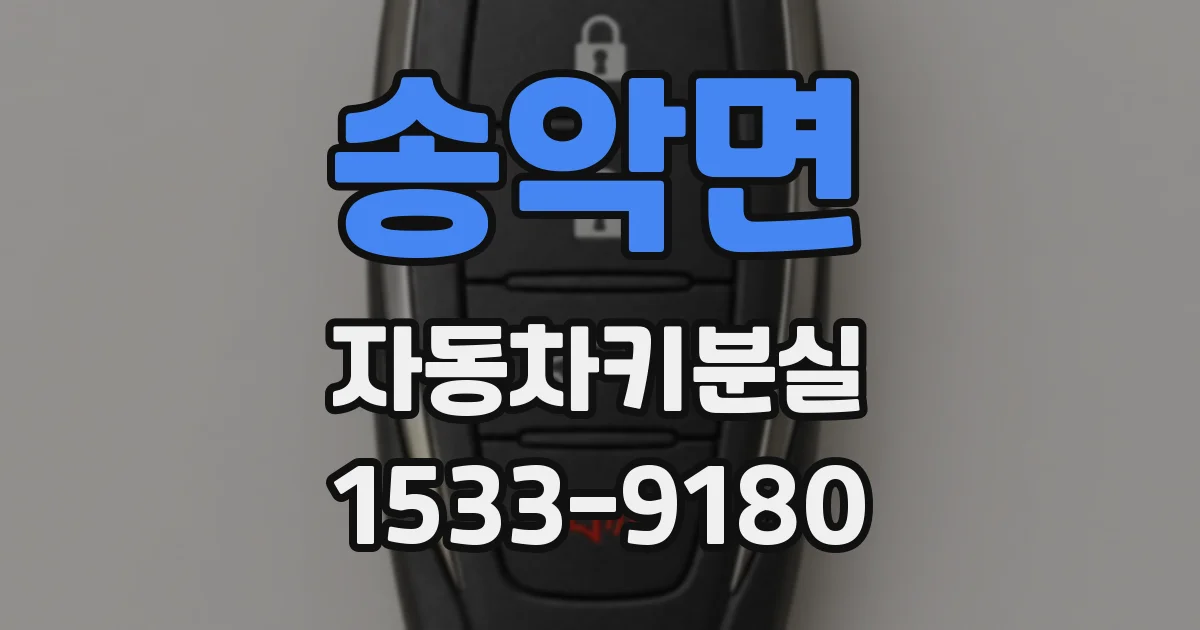 송악면 자동차키분실