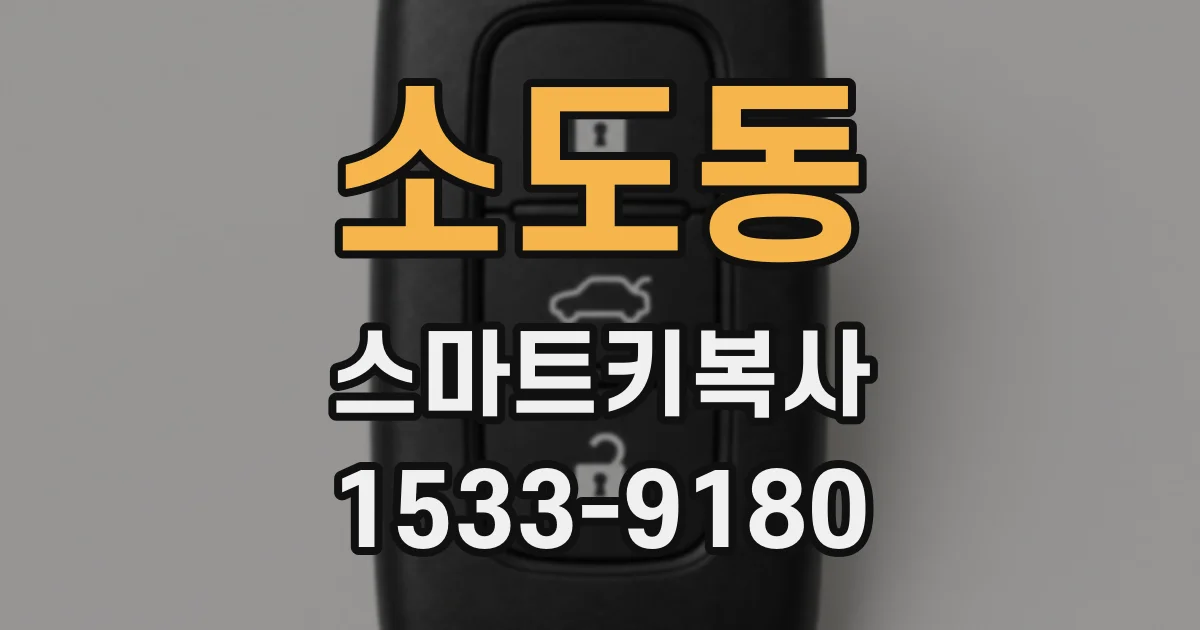 소도동 스마트키복사