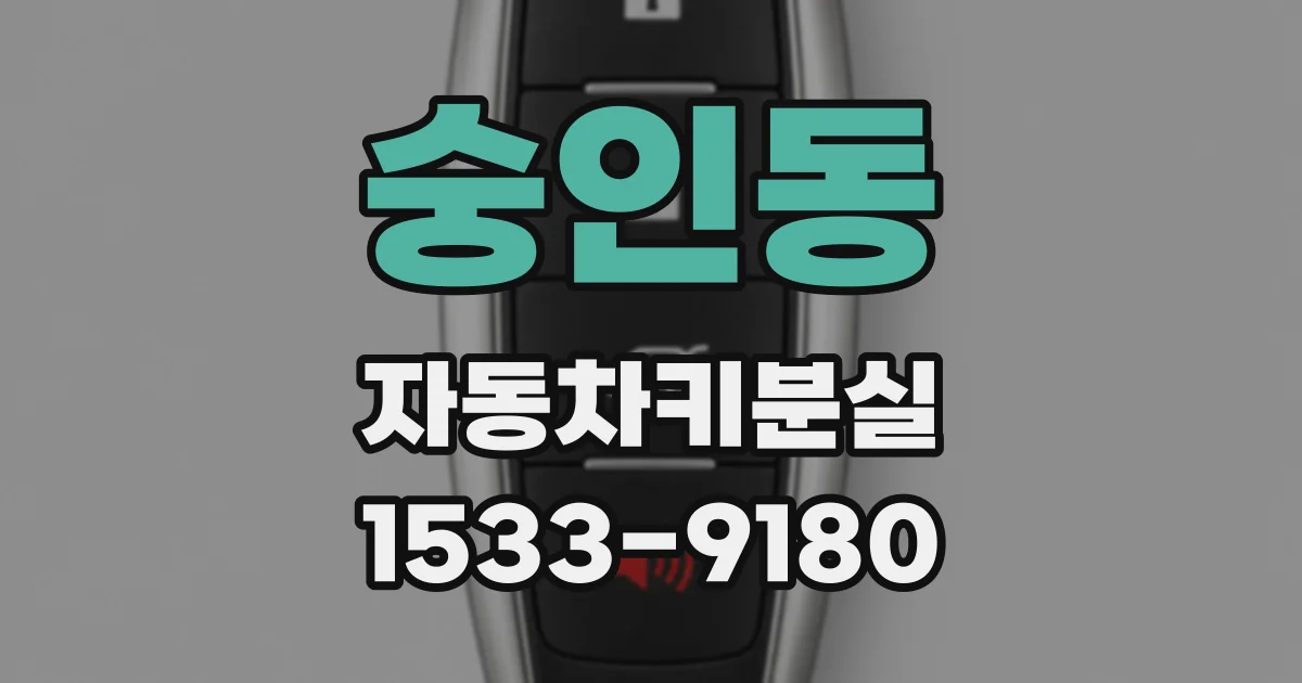 숭인동 자동차키분실