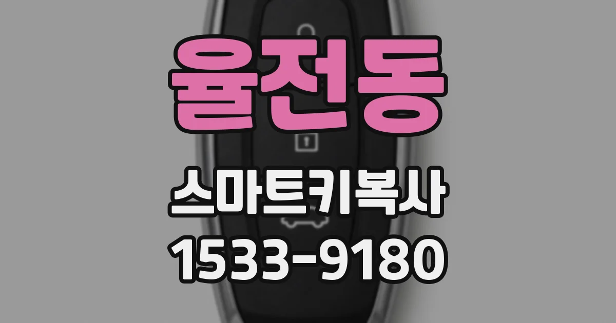 율전동 스마트키복사