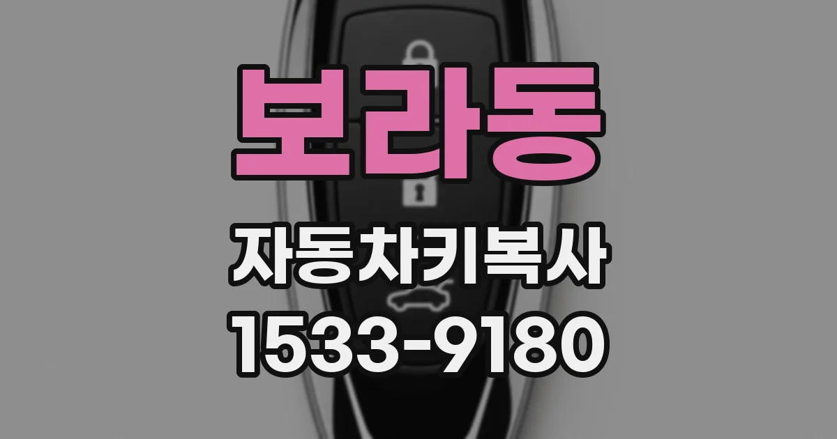 보라동 자동차키복사