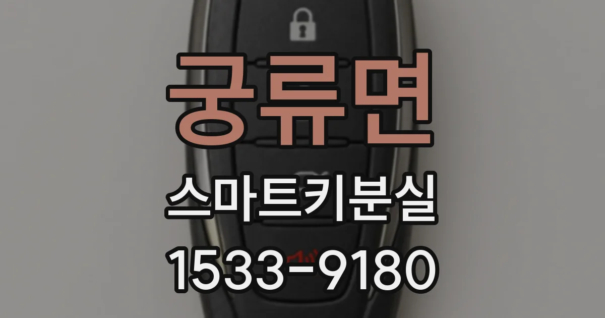궁류면 스마트키분실