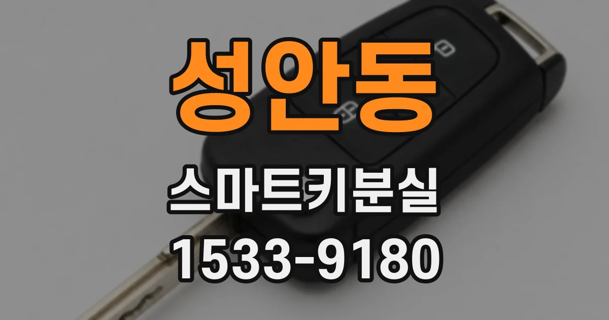 성안동 스마트키분실
