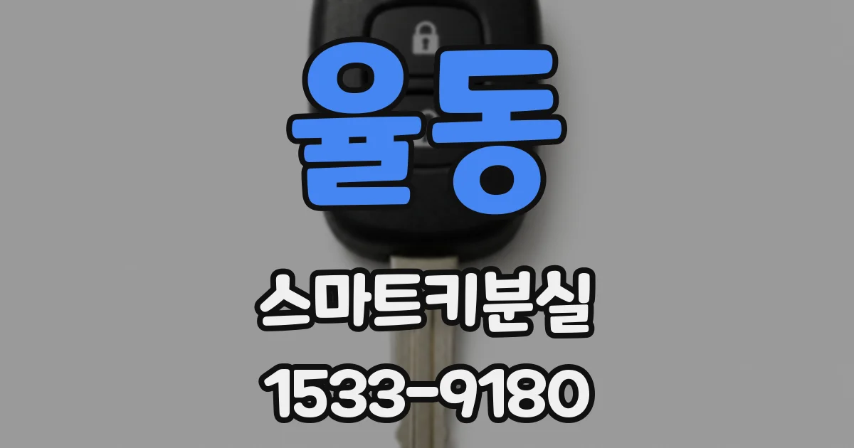 율동 스마트키분실