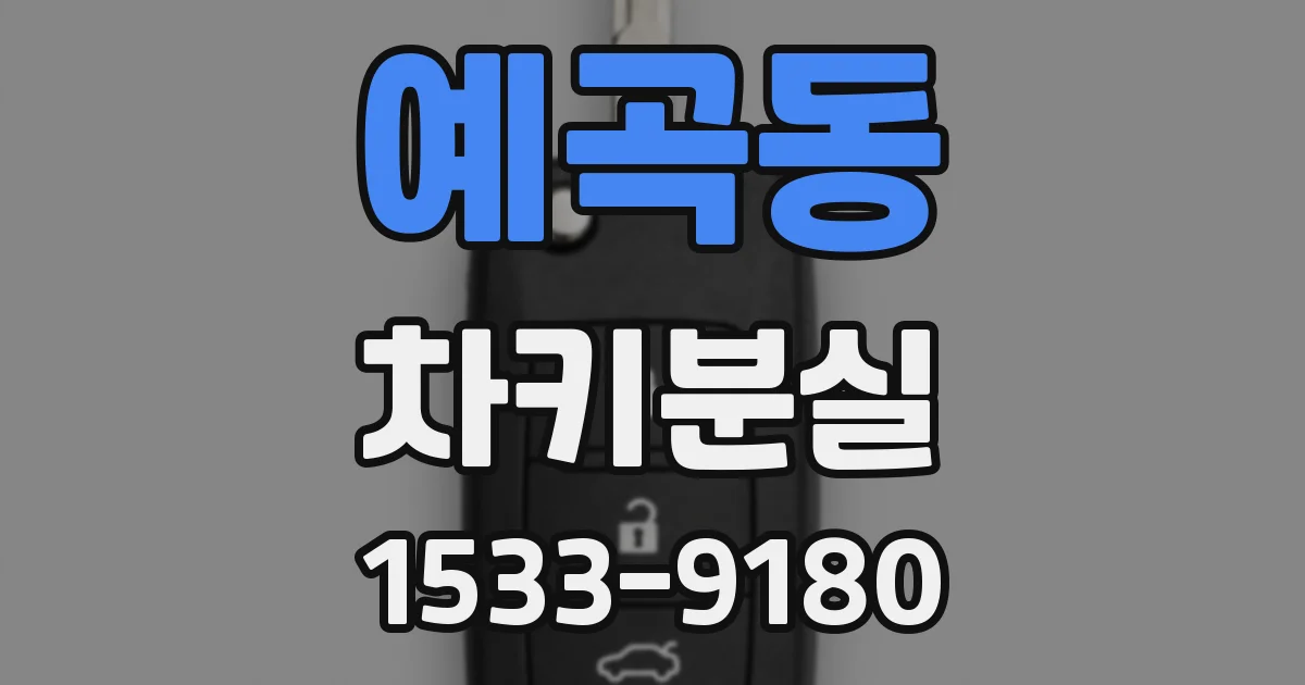 예곡동 차키분실
