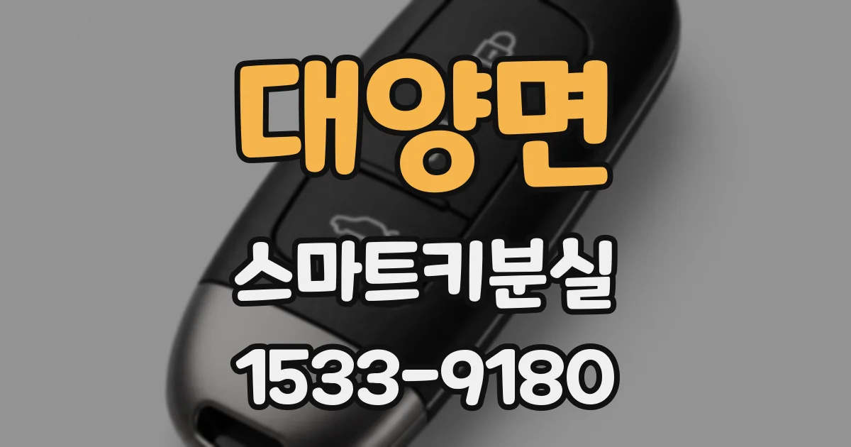 대양면 스마트키분실