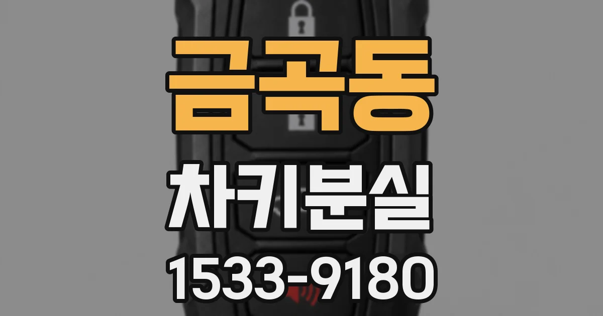 금곡동 차키분실
