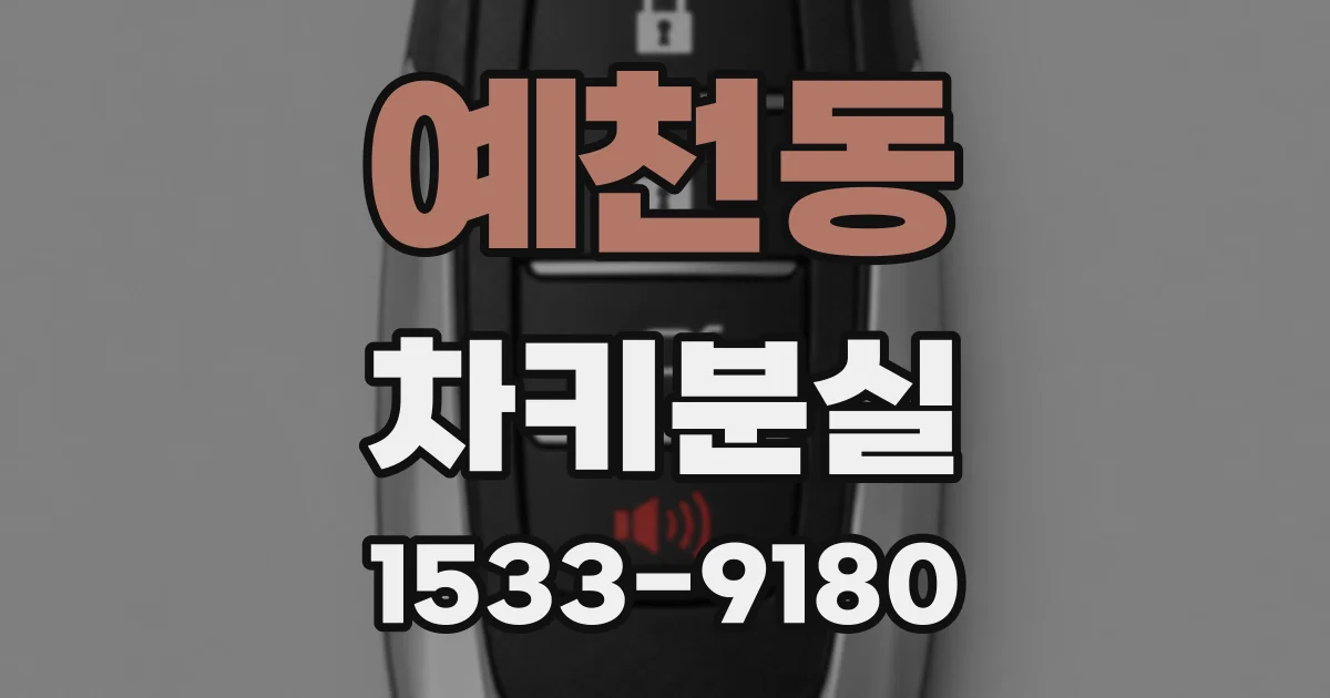 예천동 차키분실