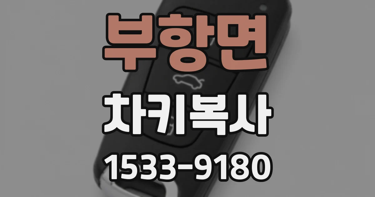 부항면 차키복사
