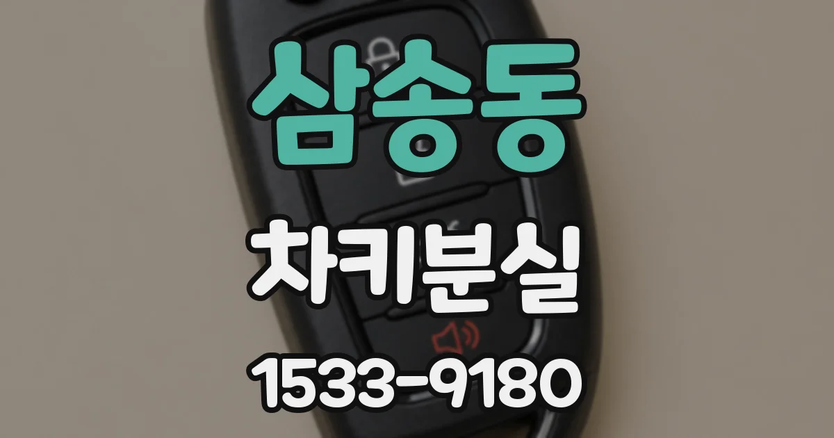 삼송동 차키분실