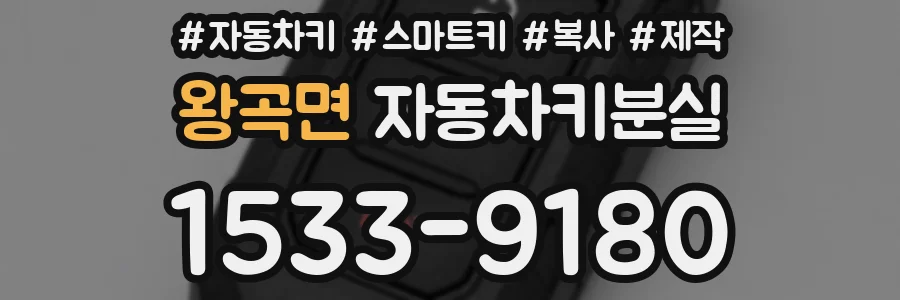 왕곡면 자동차키분실