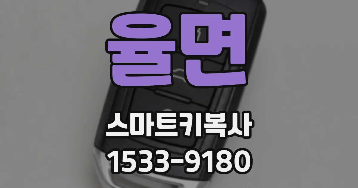 율면 스마트키복사