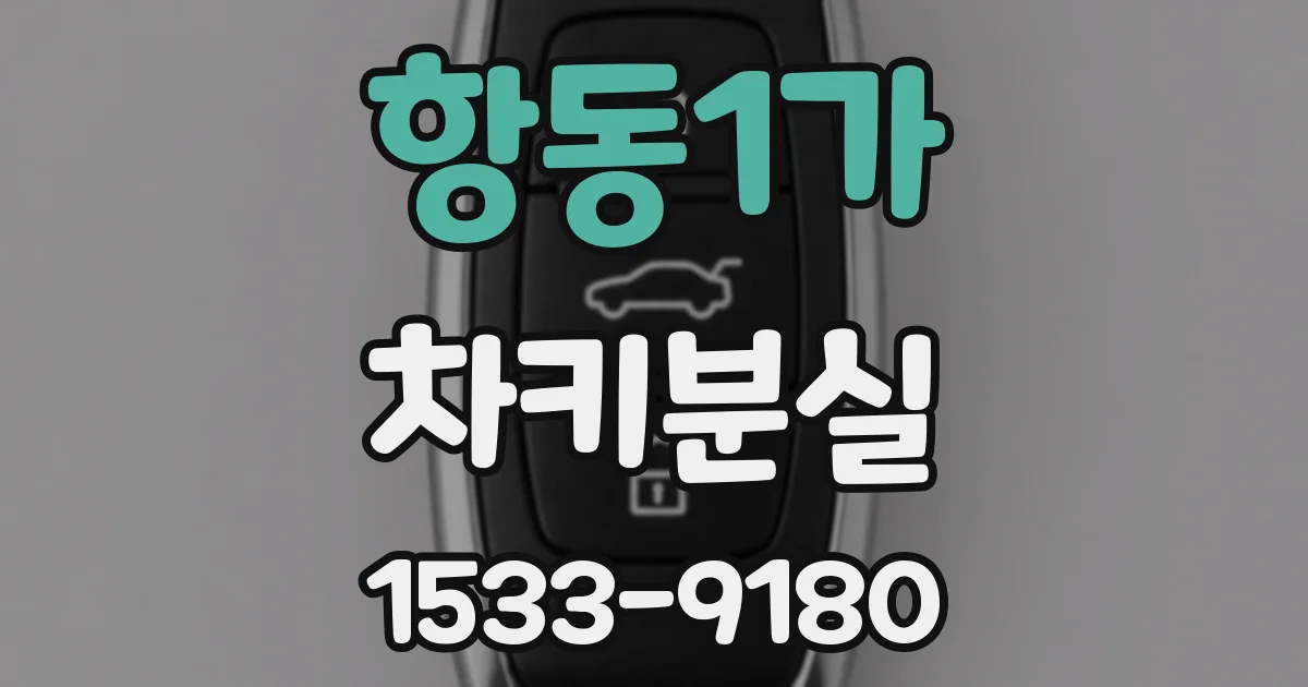 항동1가 차키분실