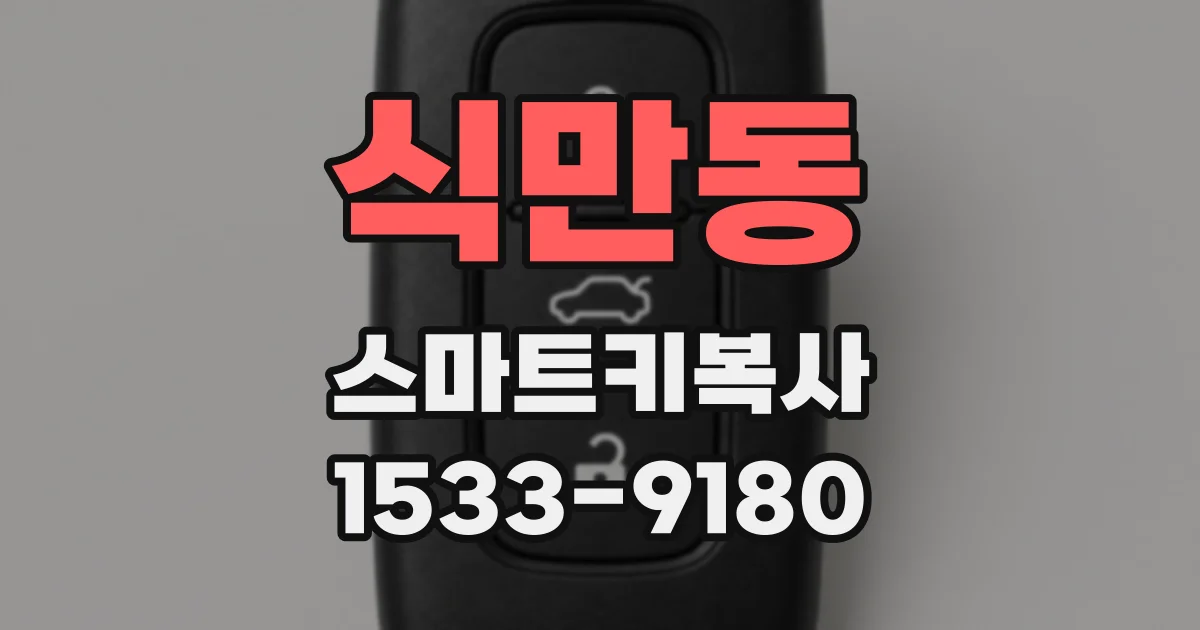 식만동 스마트키복사