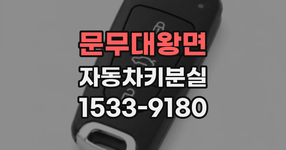 문무대왕면 자동차키분실