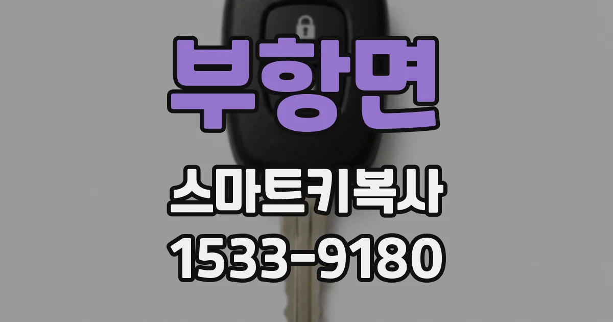 부항면 스마트키복사
