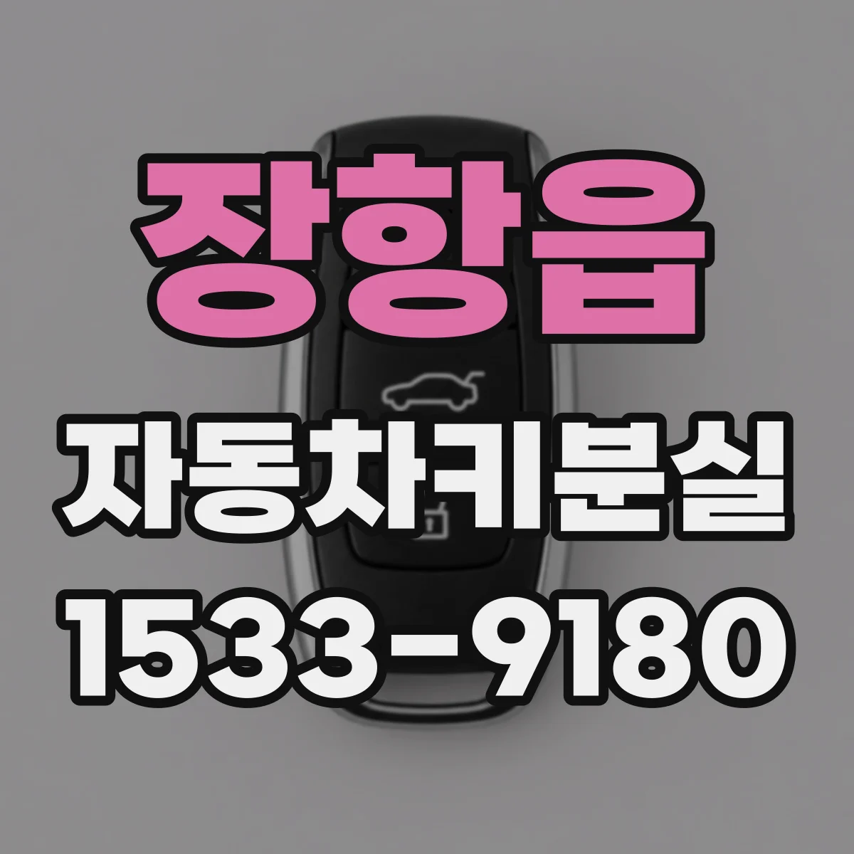 장항읍 자동차키분실