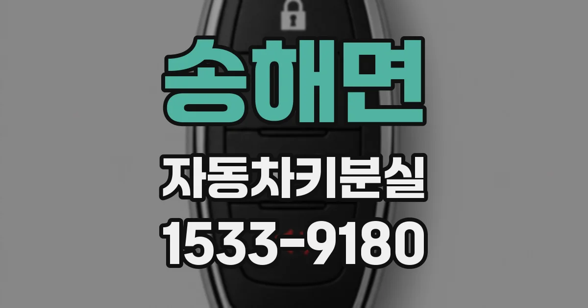 송해면 자동차키분실
