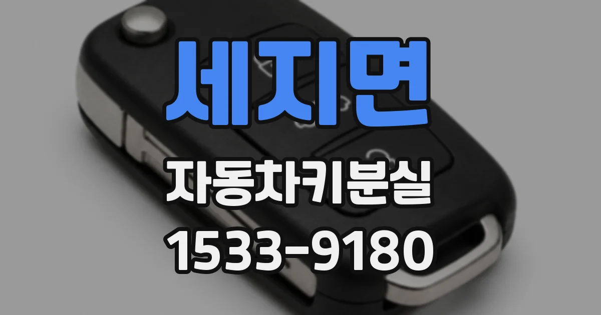 세지면 자동차키분실