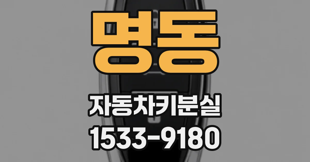 명동 자동차키분실