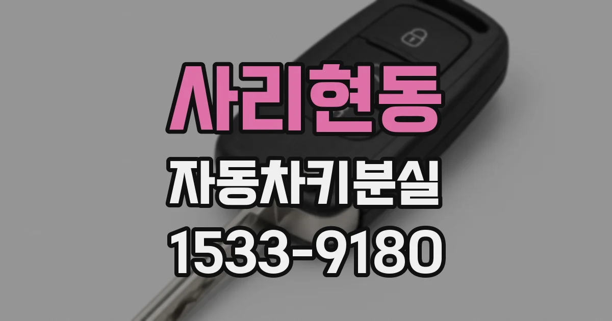 사리현동 자동차키분실