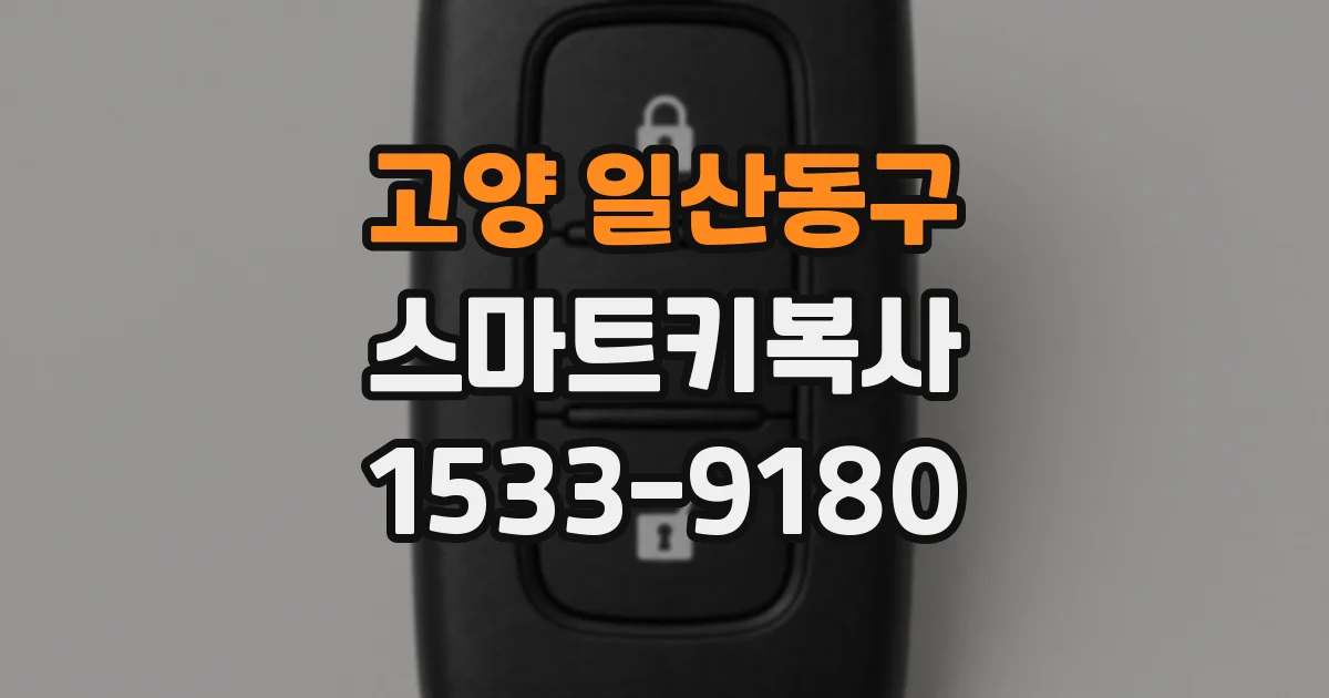 고양 일산동구 스마트키복사