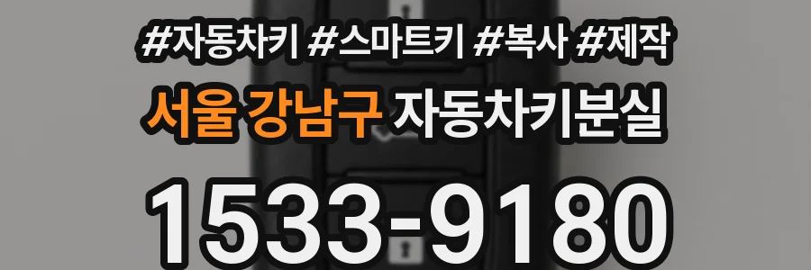 서울 강남구 자동차키분실